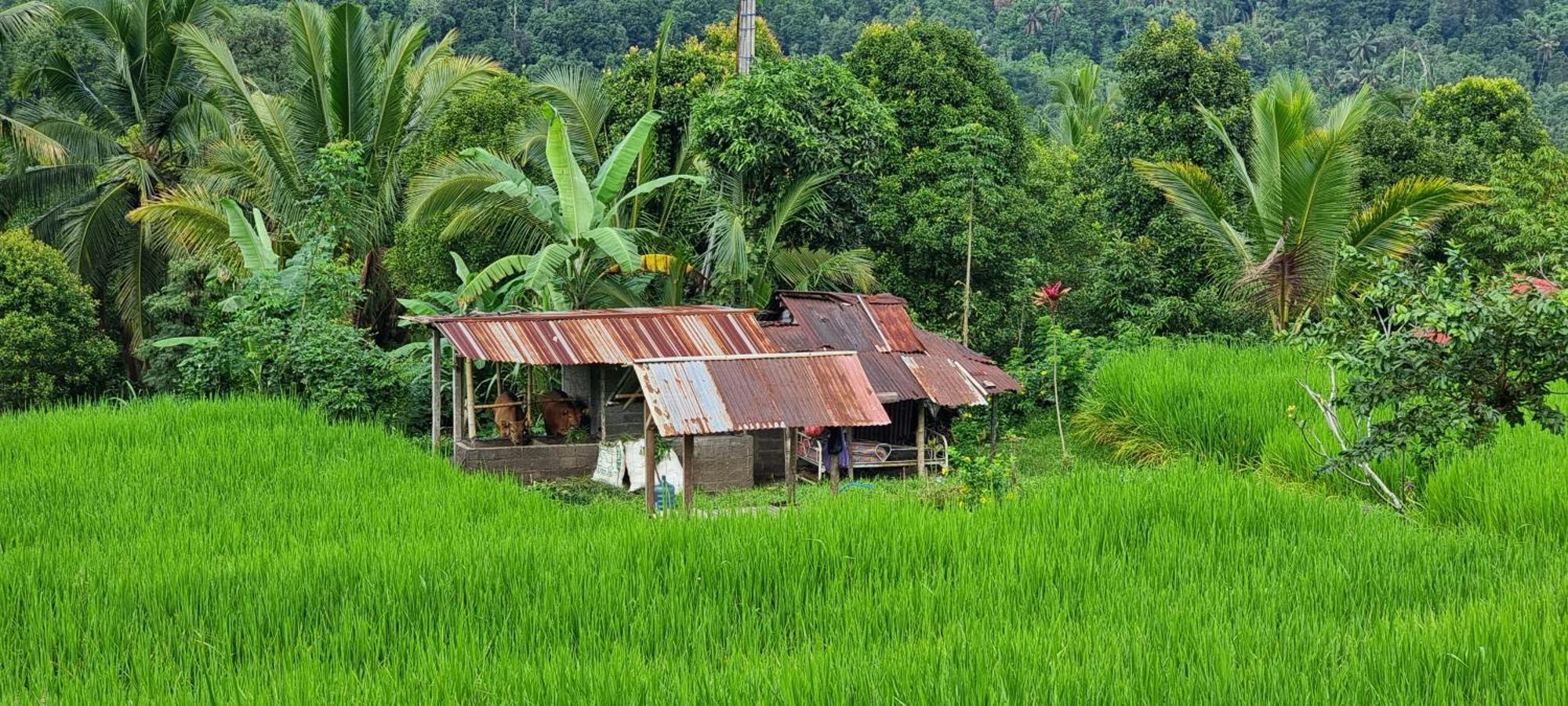 Villa Utopiaku - Munduk Highlands Extérieur photo
