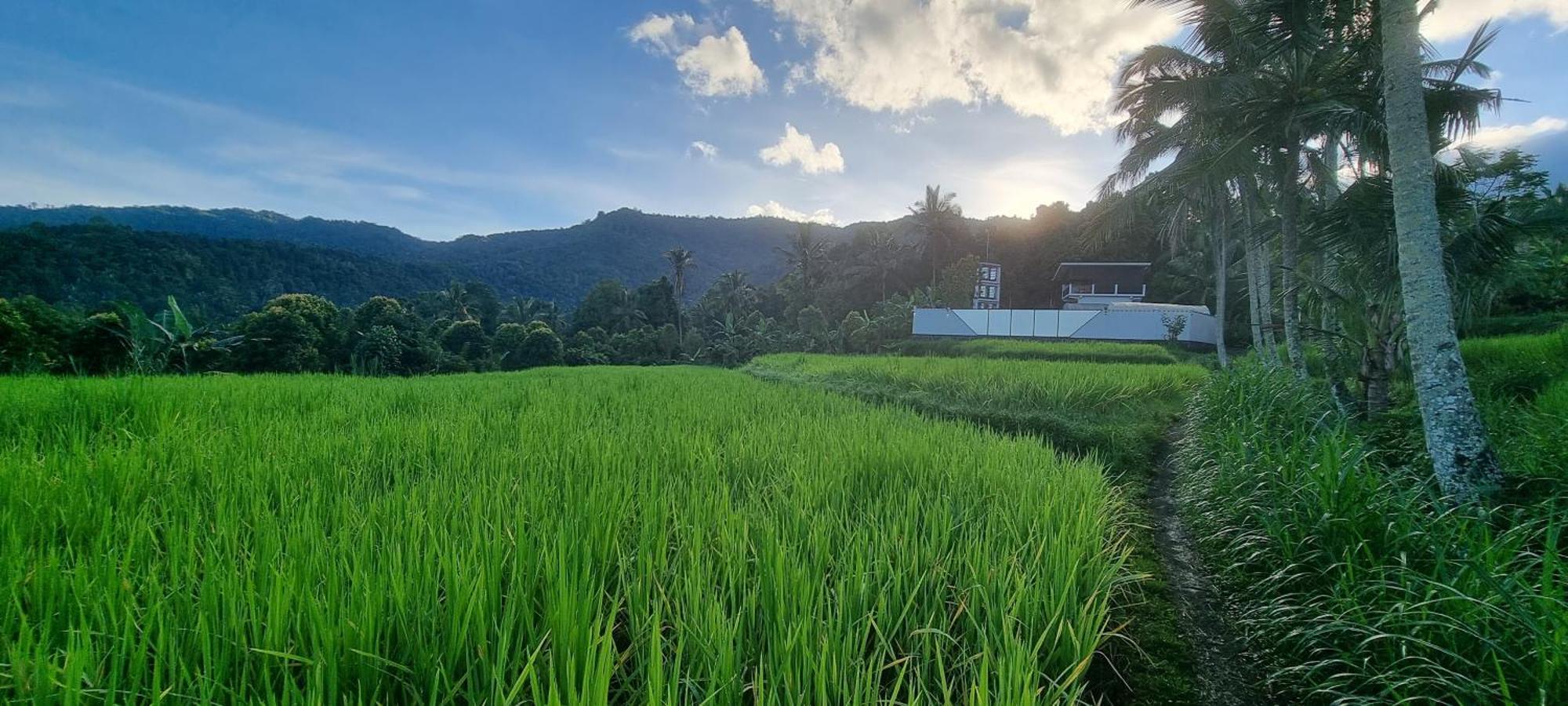 Villa Utopiaku - Munduk Highlands Extérieur photo