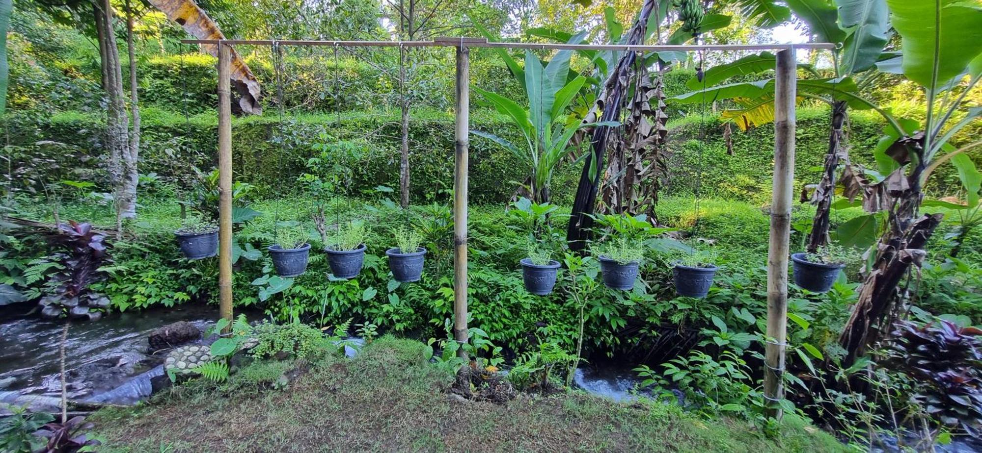 Villa Utopiaku - Munduk Highlands Extérieur photo