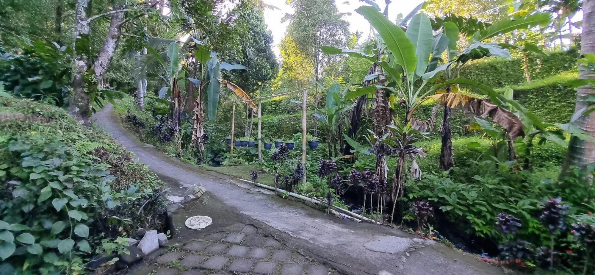 Villa Utopiaku - Munduk Highlands Extérieur photo