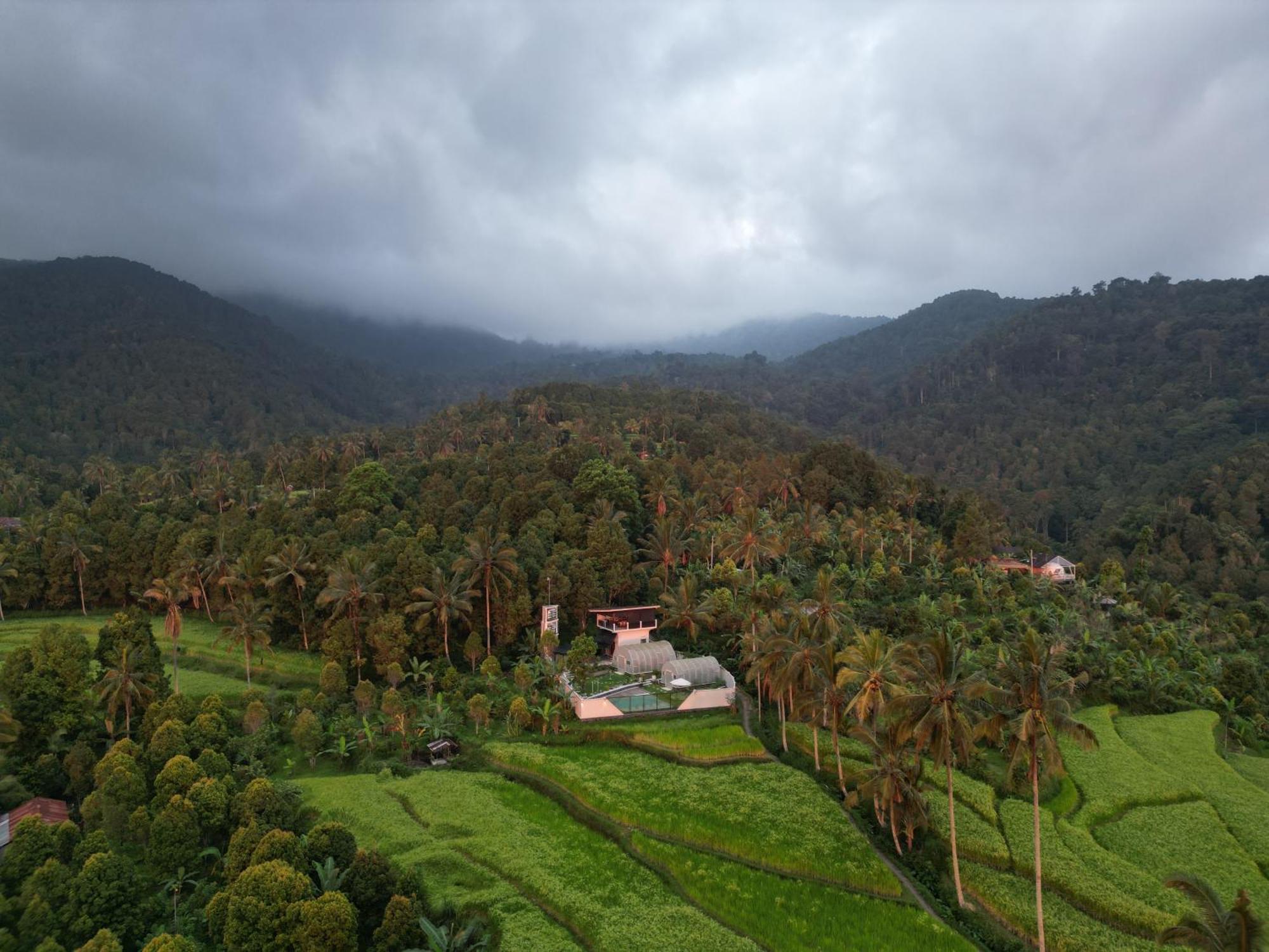 Villa Utopiaku - Munduk Highlands Extérieur photo